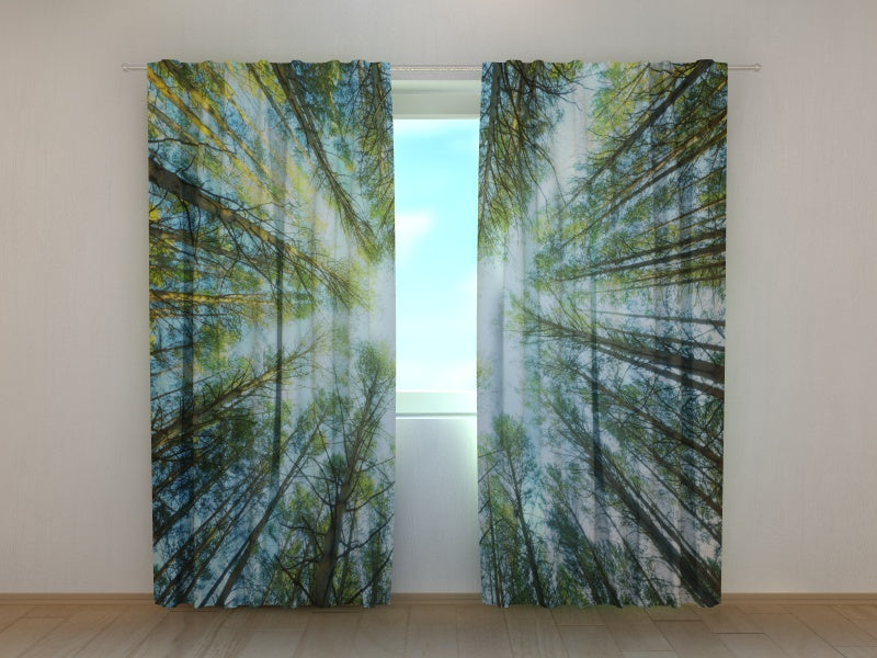 Photo Curtain Treetops