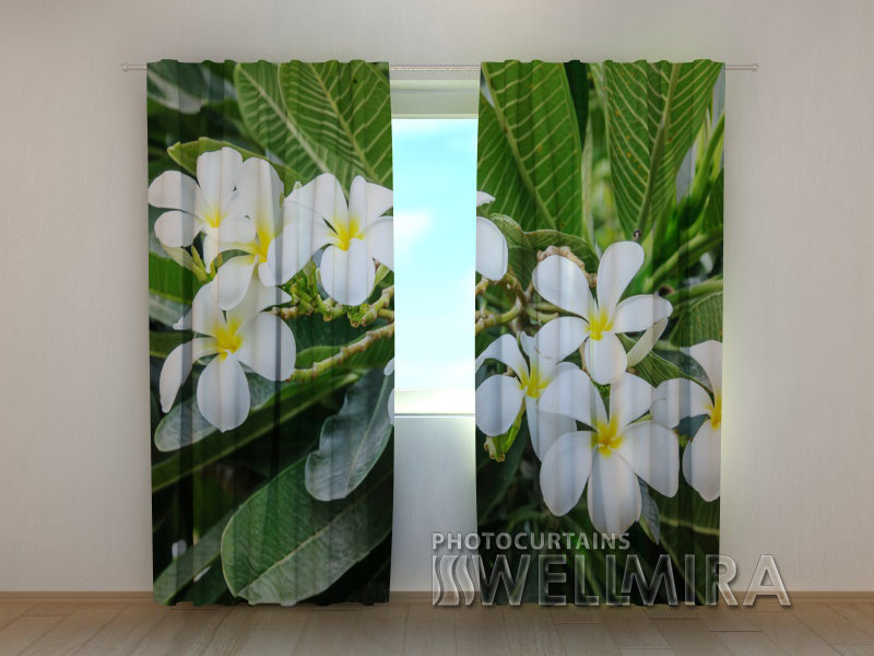 3D Curtain Tropical Shrub - Wellmira