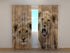 3D Curtain Two Lion Cub - Wellmira