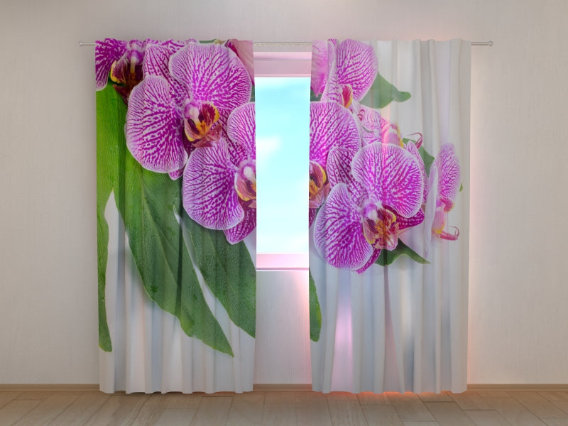 Photo Curtain Violet Orchid on a Green Leaf