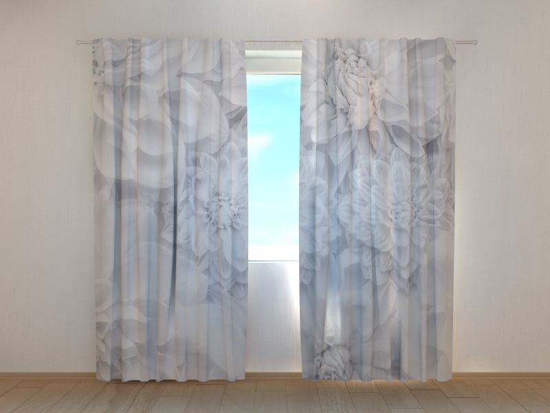 Photo Curtain White Dahlias