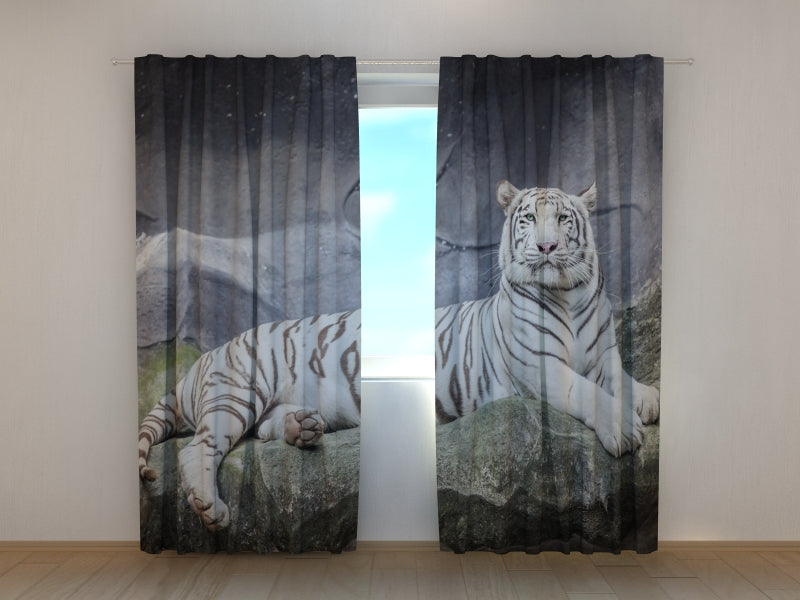 Photo Curtain White Tiger on a Rock
