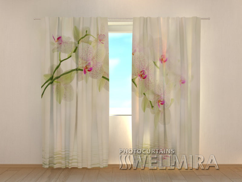 Photocurtain White Flowers - Wellmira
