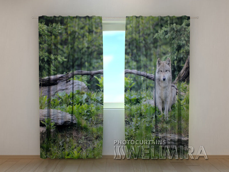 3D Curtain Wolf - Wellmira
