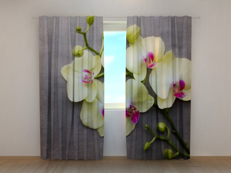 Photo Curtain Yellow Orchid on the Grey