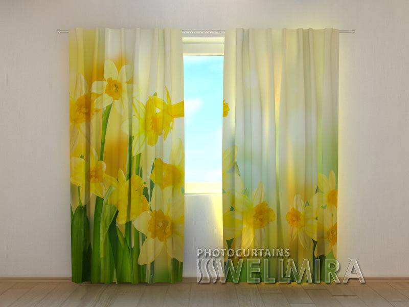 Photo Curtain Yellow Narcissi
