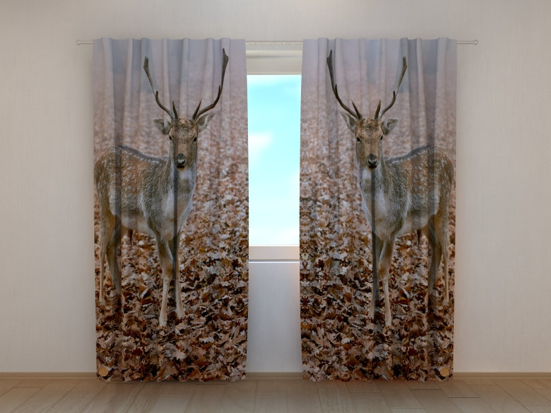 Photo Curtain Young Deer in Autumn Forest