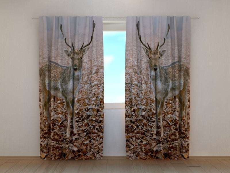 Photo Curtain Young Deer in Autumn Forest