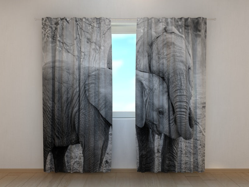 Photo Curtain Young Elephants in Black and White