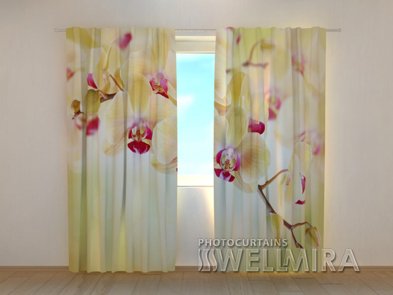Photocurtain Goldish Orchids - Wellmira