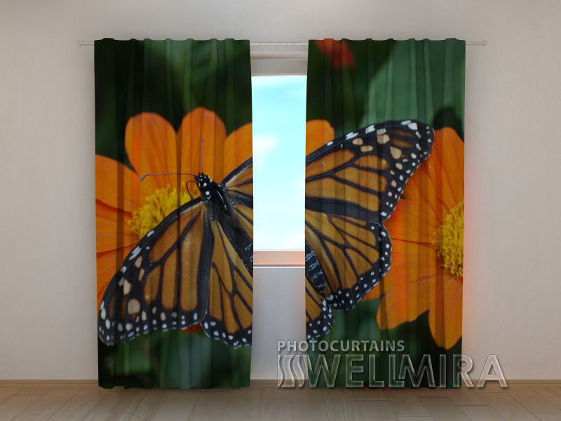 3D Curtain Butterfly and a Flower - Wellmira