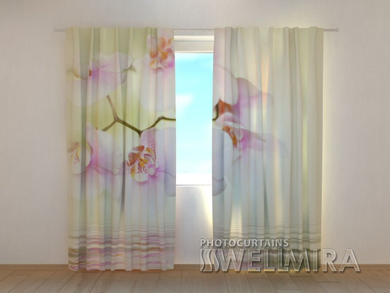 Photocurtain White Orchid 2 - Wellmira