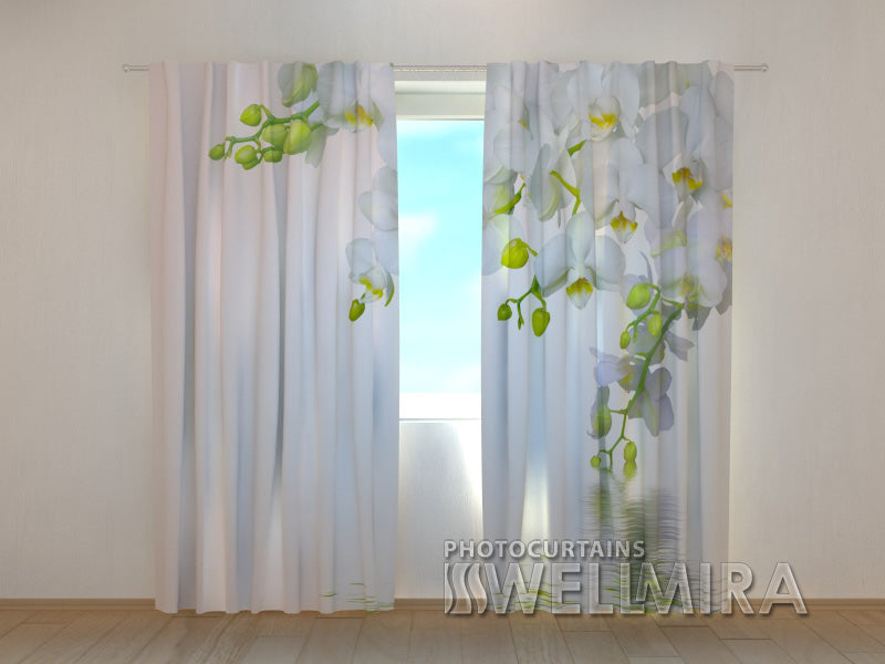 Photocurtain Tenderness - Wellmira