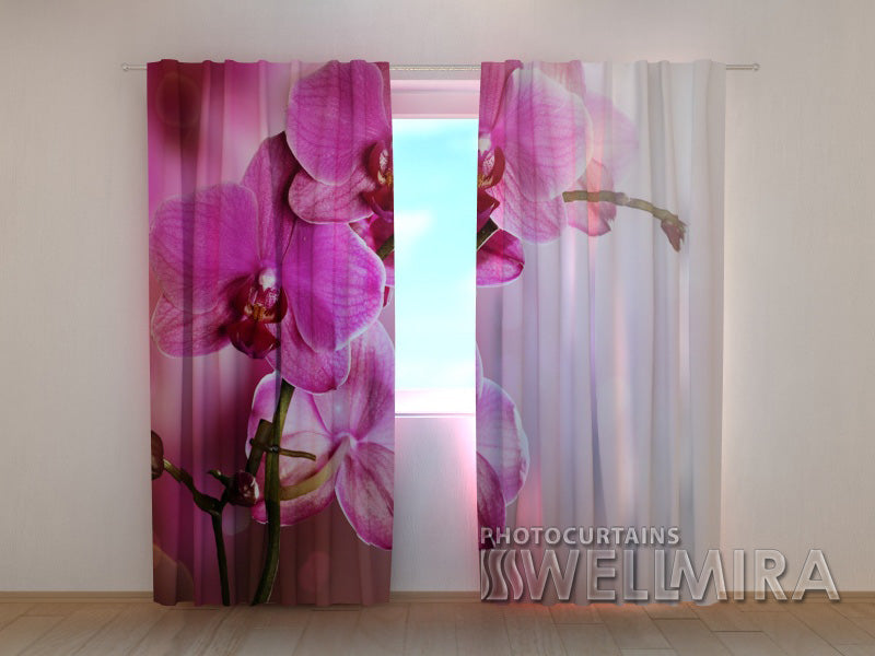 Photocurtain Purple Orchid - Wellmira