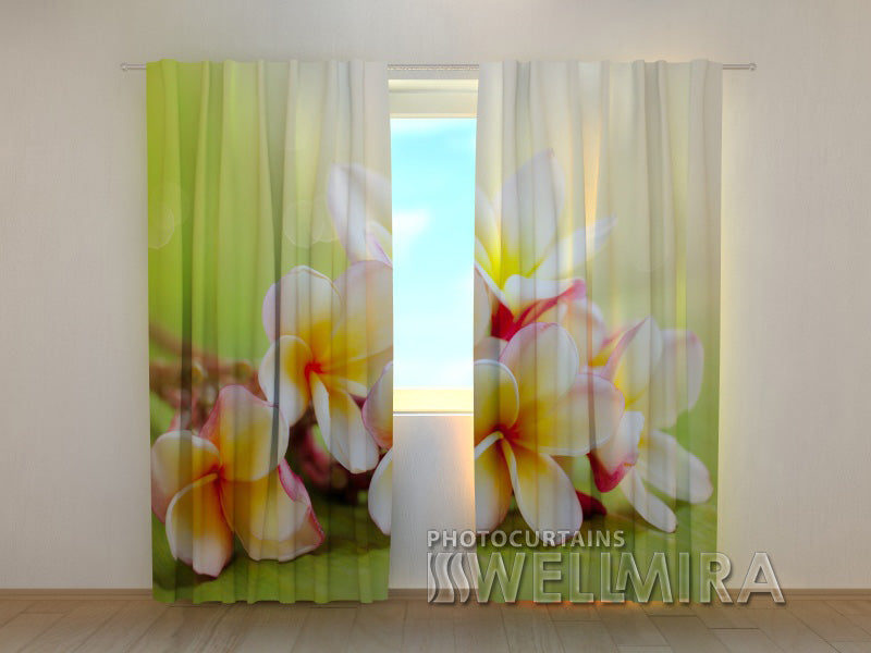 Photo Curtain Spring Flowers - Wellmira